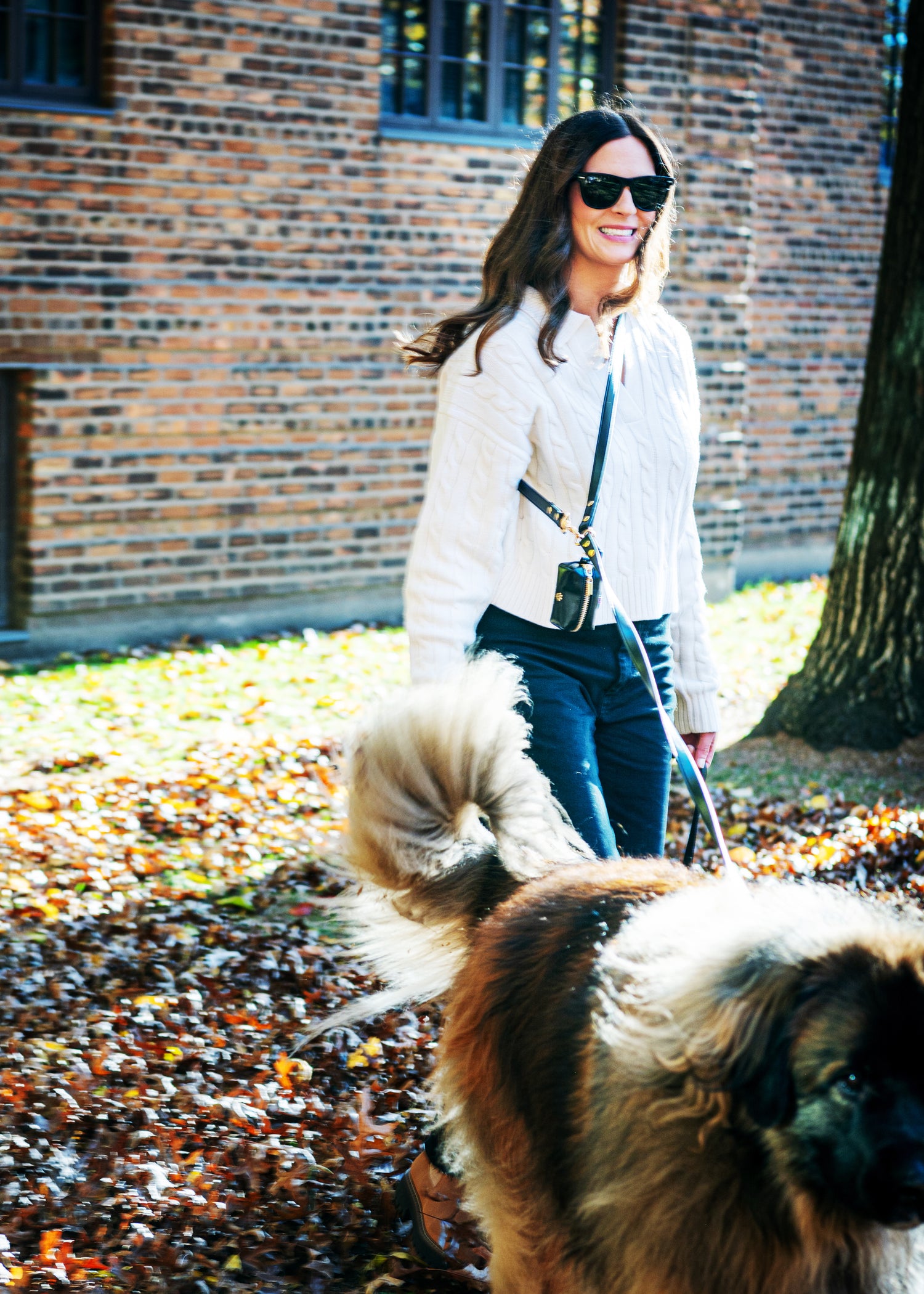 Bundle: CORIO Hands-Free Leash Set